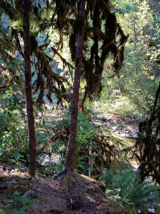 Puma Campground 4