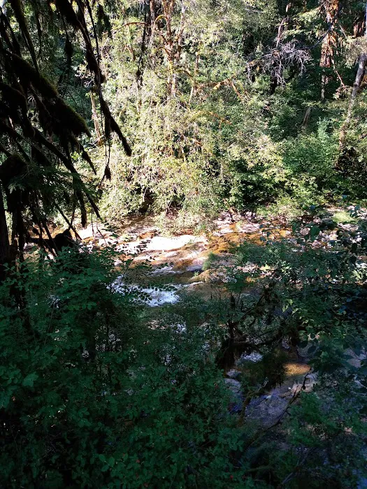Puma Campground 0