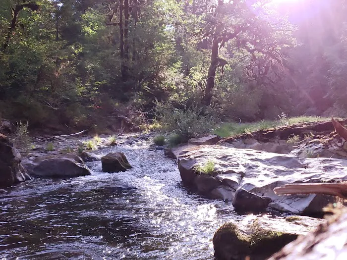 Puma Campground 5