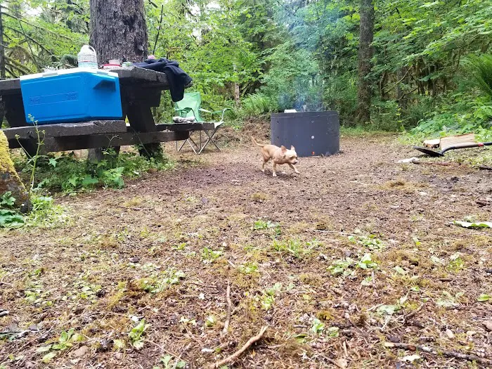 Puma Campground 9