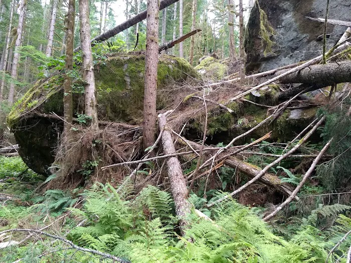 Rujada Campground 9