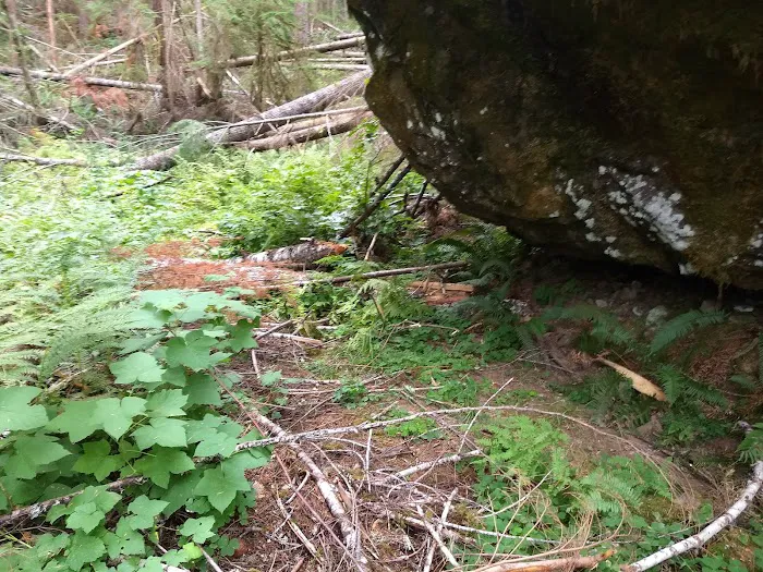 Rujada Campground 8