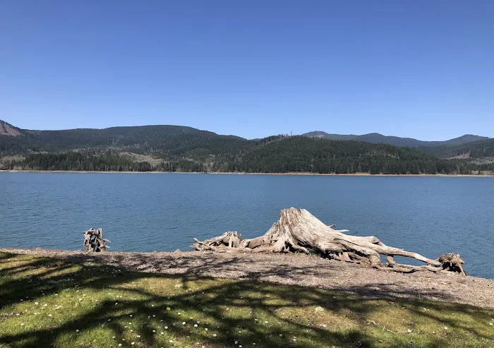 Baker Bay Campgrounds & Marina 7