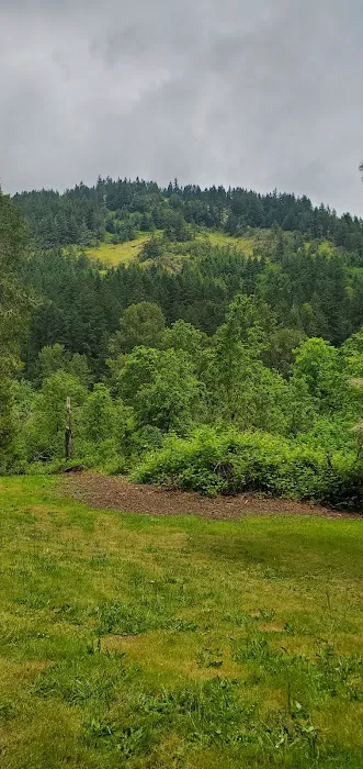 Schwarz Campground 0