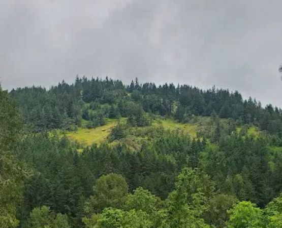 Schwarz Campground