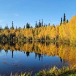 Red Squirrel Campground