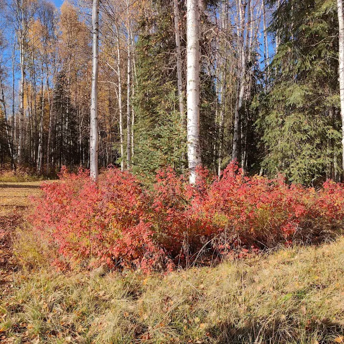 Rosehip Campground 2