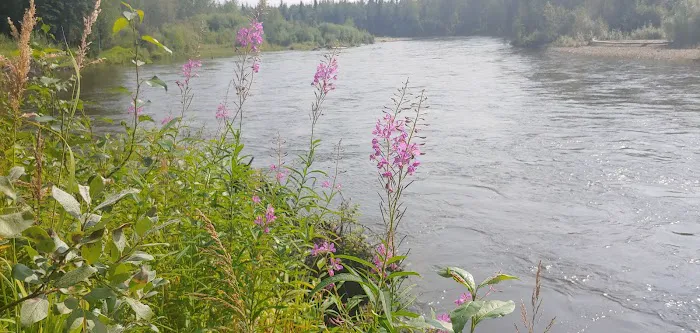 Rosehip Campground 9