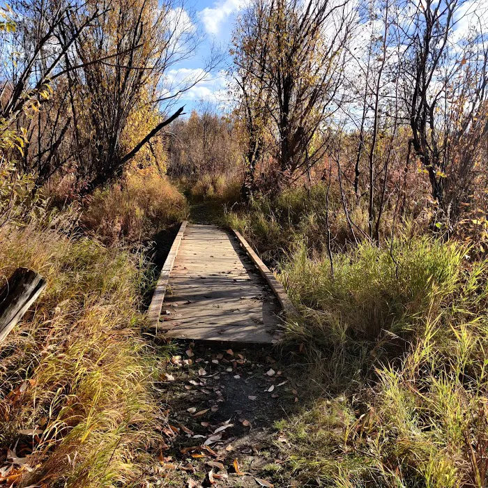 Rosehip Campground 4