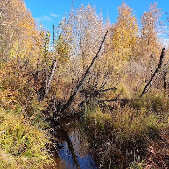 Rosehip Campground 1