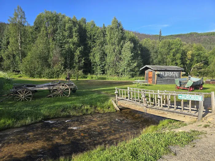 Chena Hot Springs Campground 5
