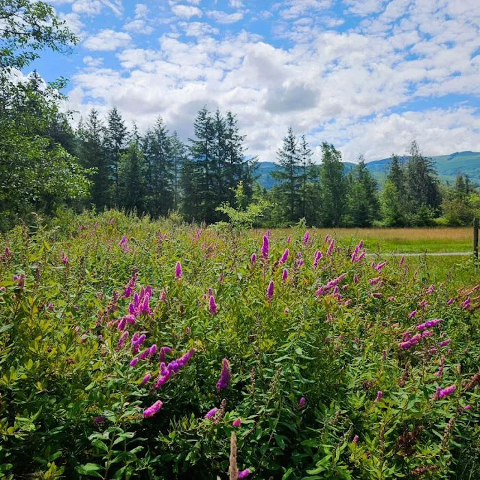 A&K Alder Farm Campsites 6