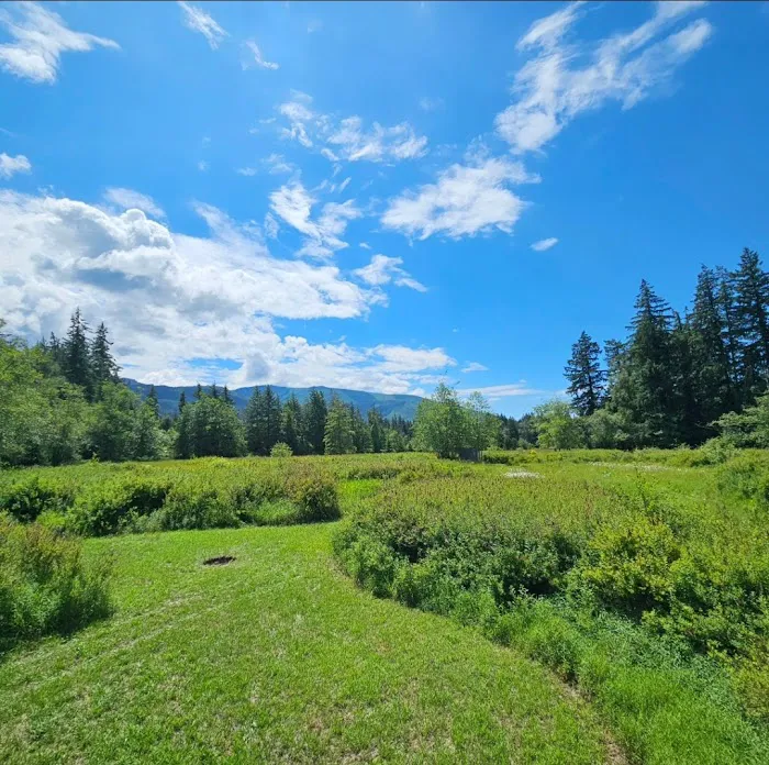 A&K Alder Farm Campsites 2