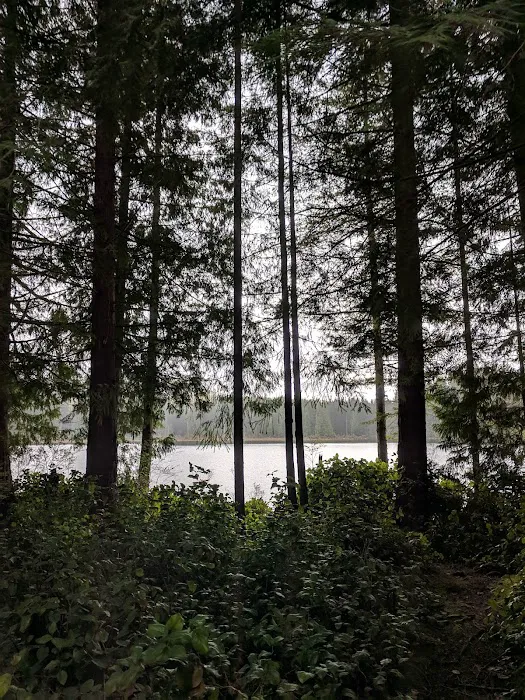 Camp Hamilton 9