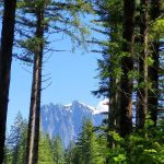 Gold Bar Nature Trails Private Campground