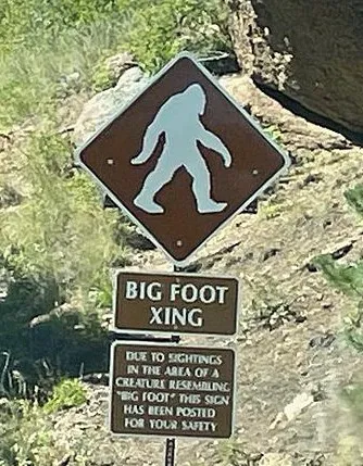 Bigfoot Safe House 0