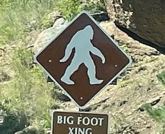 Bigfoot Safe House