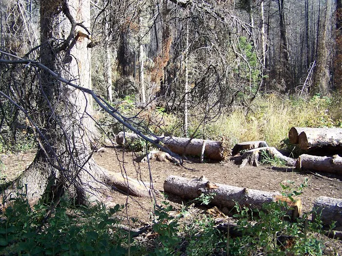 Red Eagle Lake Head campground 4