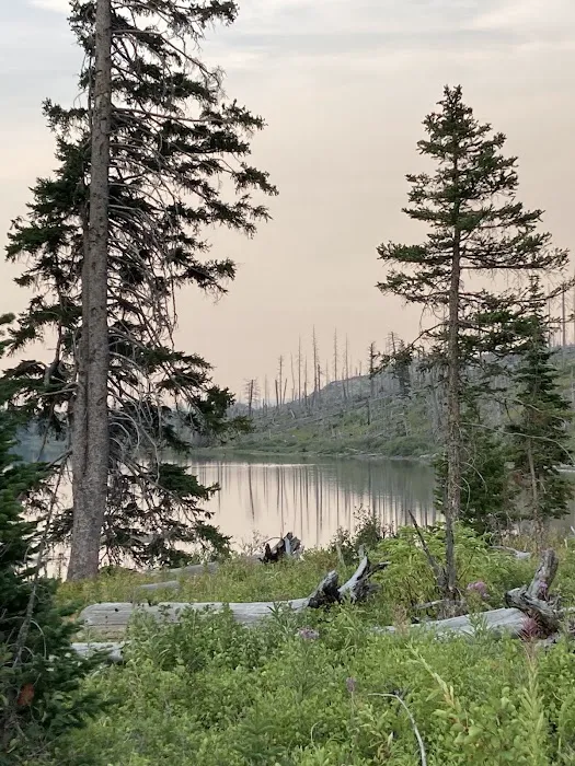 Red Eagle Lake Head campground 7