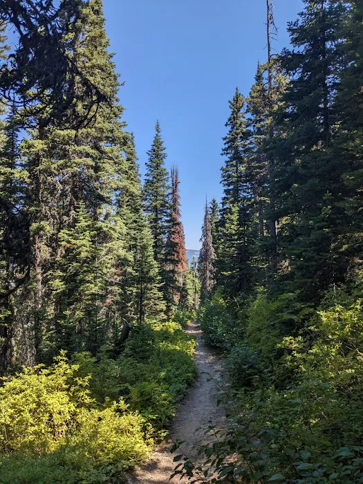 Cracker Lake Campground 6