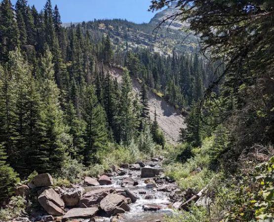 Cracker Lake Campground