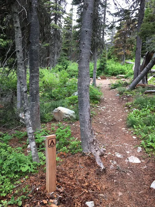 Atlantic Creek Campground 3