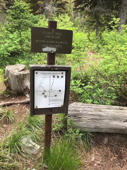 Atlantic Creek Campground 4