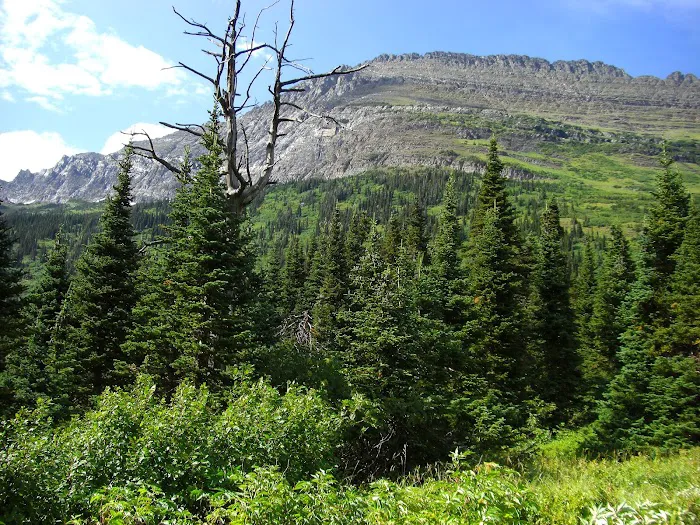 Gunsight Lake Campground 6