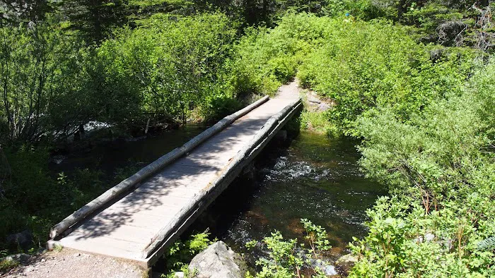 Snyder Lake Campground 8