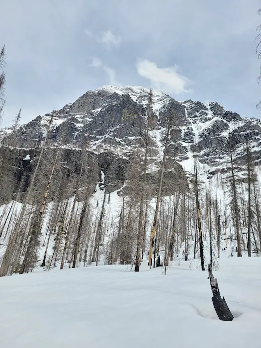 Snyder Lake Campground 1