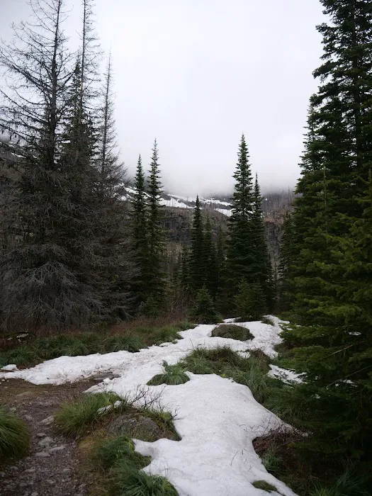 Snyder Lake Campground 9