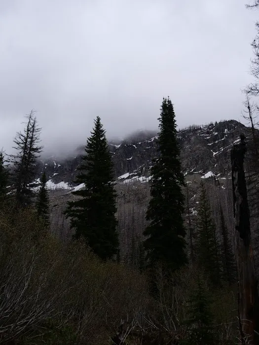 Snyder Lake Campground 5