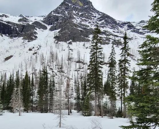 Snyder Lake Campground