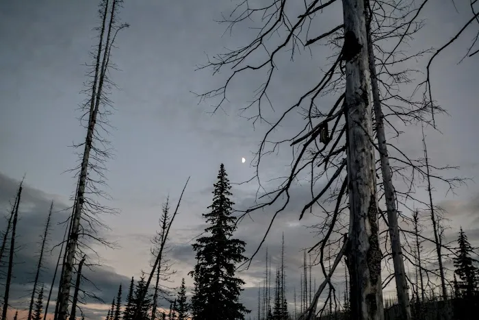 Flattop Campground 3