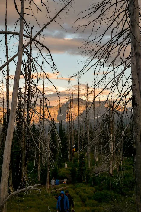 Flattop Campground 4