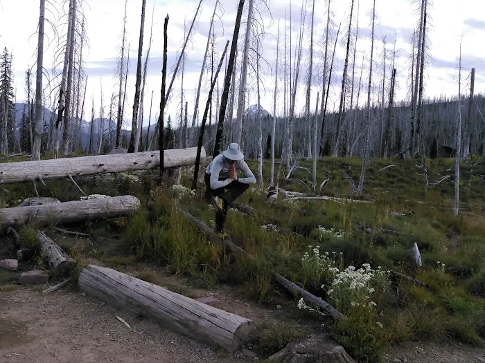 Flattop Campground 6