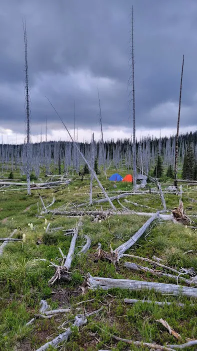 Flattop Campground 5
