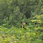 Head Glenns Lake Campground