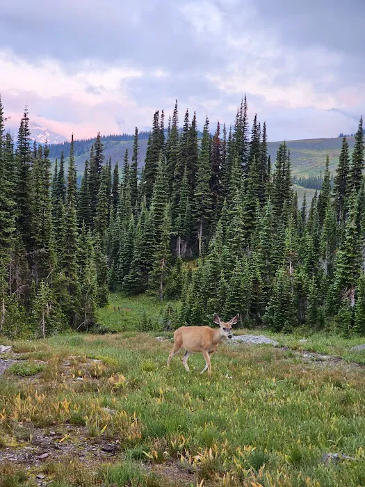 Fifty Mountain Campground 0