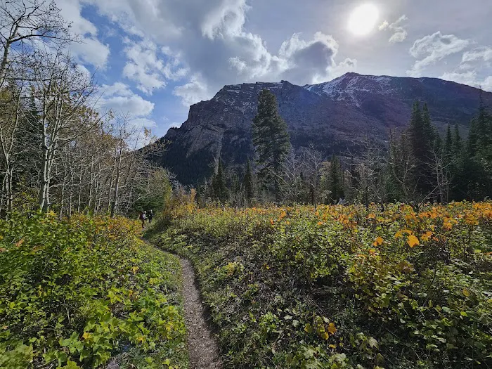 Cosley Lake Campground 2