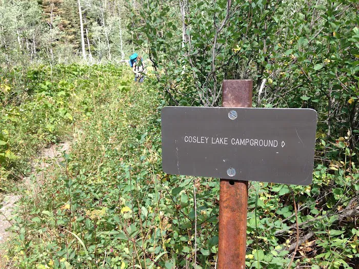 Cosley Lake Campground 4