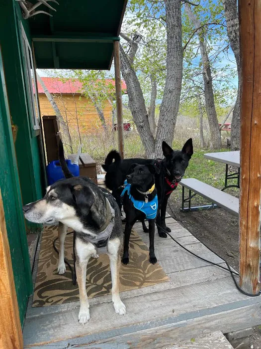 Glacier Elkhorn Cabins and Campground 5
