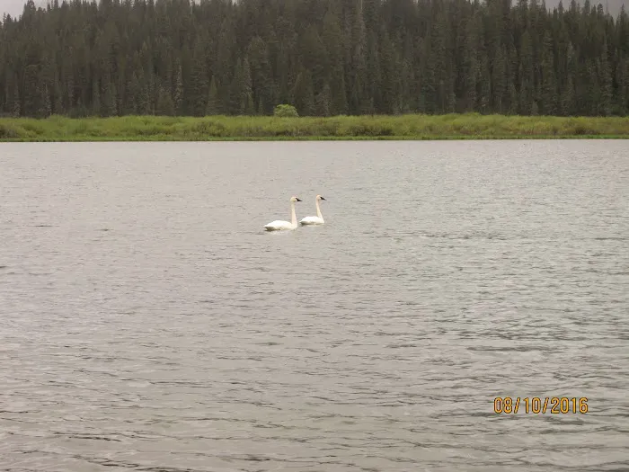 Kootenai Lake Campground 4