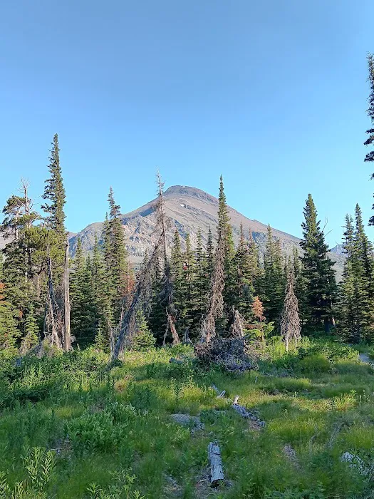Upper Two Medicine Lake Campground 2