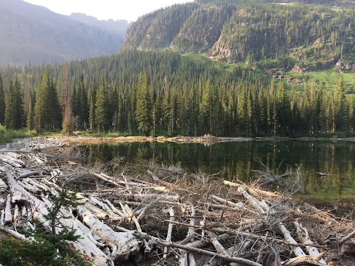 Upper Two Medicine Lake Campground 8