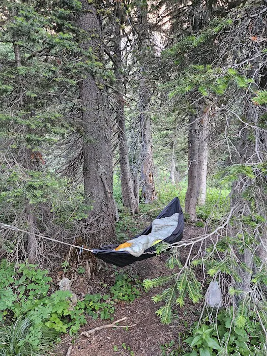 Morning Star Lake Campground 3