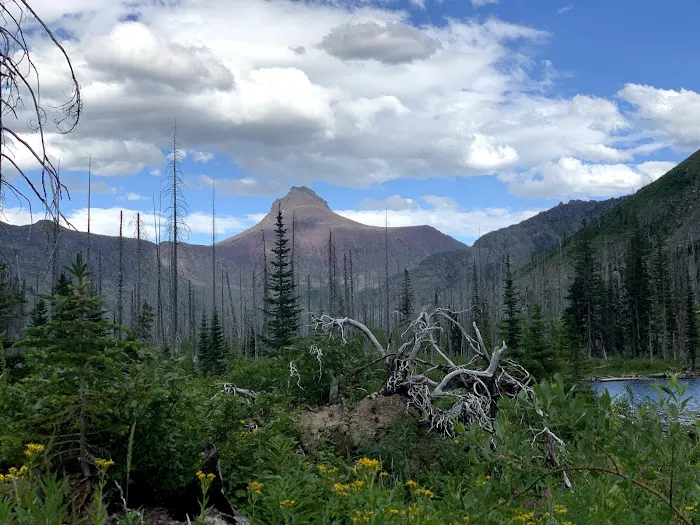 Upper Park Creek Campground 0