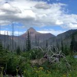 Upper Park Creek Campground