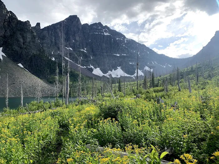 Upper Park Creek Campground 2