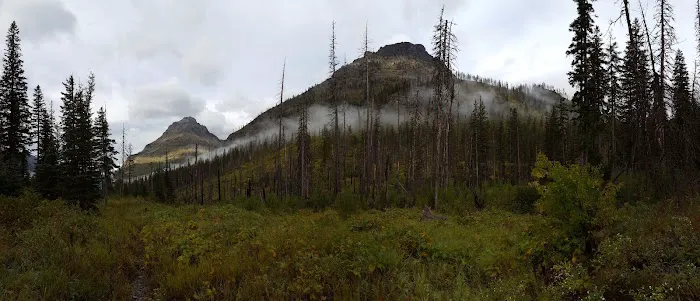 Upper Park Creek Campground 4